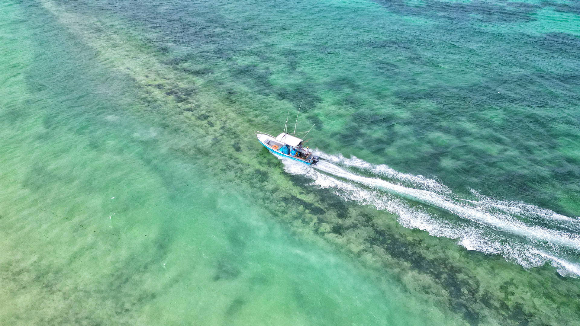 Call to action Banner