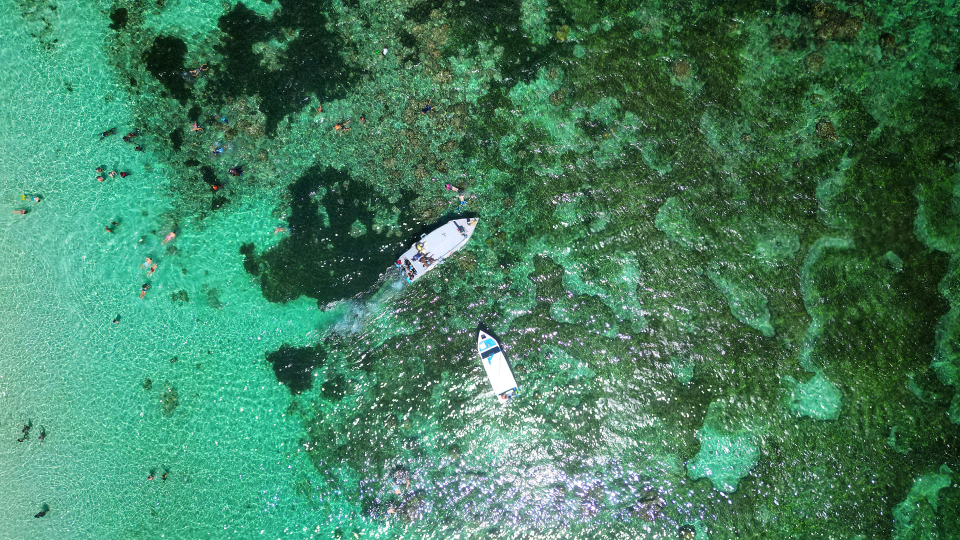 Call to action Banner